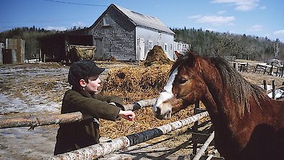 Pit Pony Season 1 Episode 1