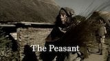 The Peasant