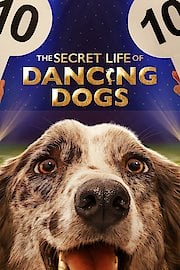 The Secret Life of Dancing Dogs