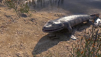 Great Moments in Evolution Season 1 Episode 1