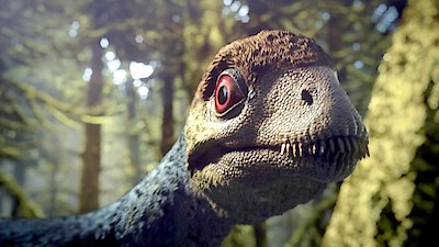 Great Moments in Evolution Season 1 Episode 2