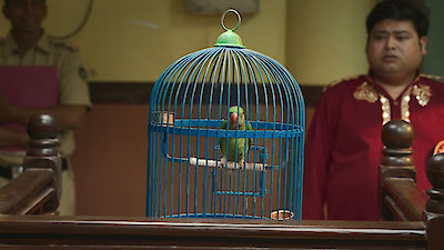 Maamla Legal Hai Season 1 Episode 4