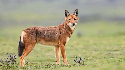 Queens Season 1 Episode 5