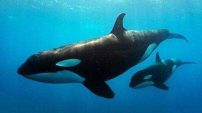 Queens Season 1 Episode 6