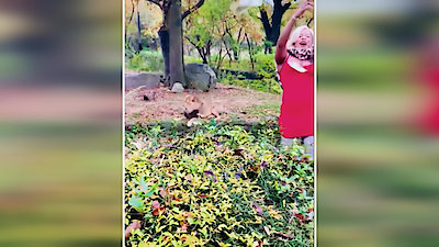 My Strange Arrest Season 1 Episode 4