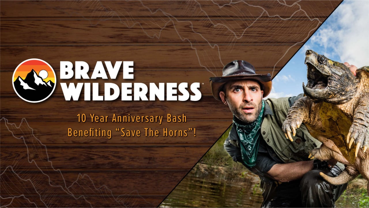 Brave Wilderness