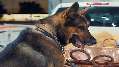 Contraband: Seized at the Border Season 6 Episode 1