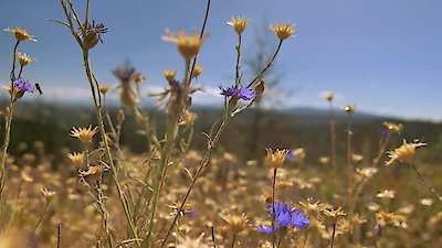 A Killer's Mistake Season 2 Episode 3