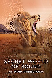 Secret World of Sound with David Attenborough