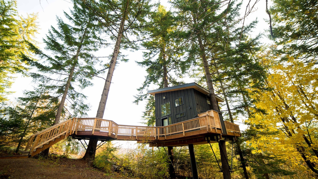Tiny Treehouse Escape
