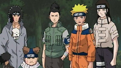 Naruto Shippuuden Episode 113 - Watch Naruto Shippuuden E113 Online
