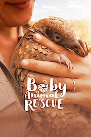 Baby Animal Rescue