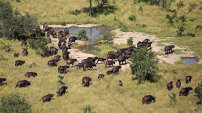 Extreme Airport Africa Season 1 Episode 2