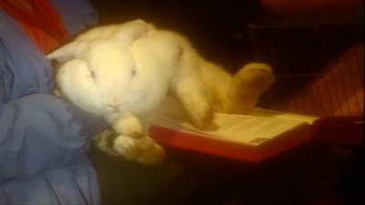 The Vicar of Dibley Season 1 Episode 6