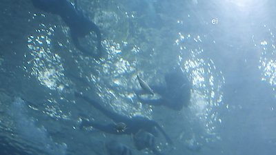 Harlem Globetrotters: Play It Forward Season 1 Episode 14