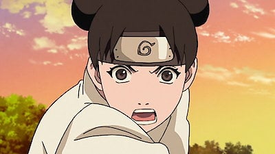 Naruto Shippuden Season 8 Episode 427