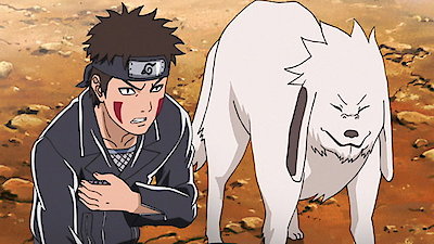 Naruto: Shippuden Season 8 - watch episodes streaming online