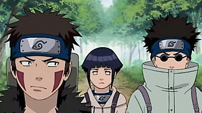 Naruto Shippuden - Episodio 236 - Um Companheiro Verdadeiro Online -  Animezeira