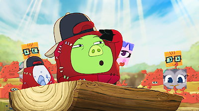 Angry Birds: Mystery Island Season 103 Episode 1