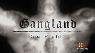 Gangland Season 5 Episode 8