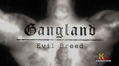 Gangland Season 5 Episode 9