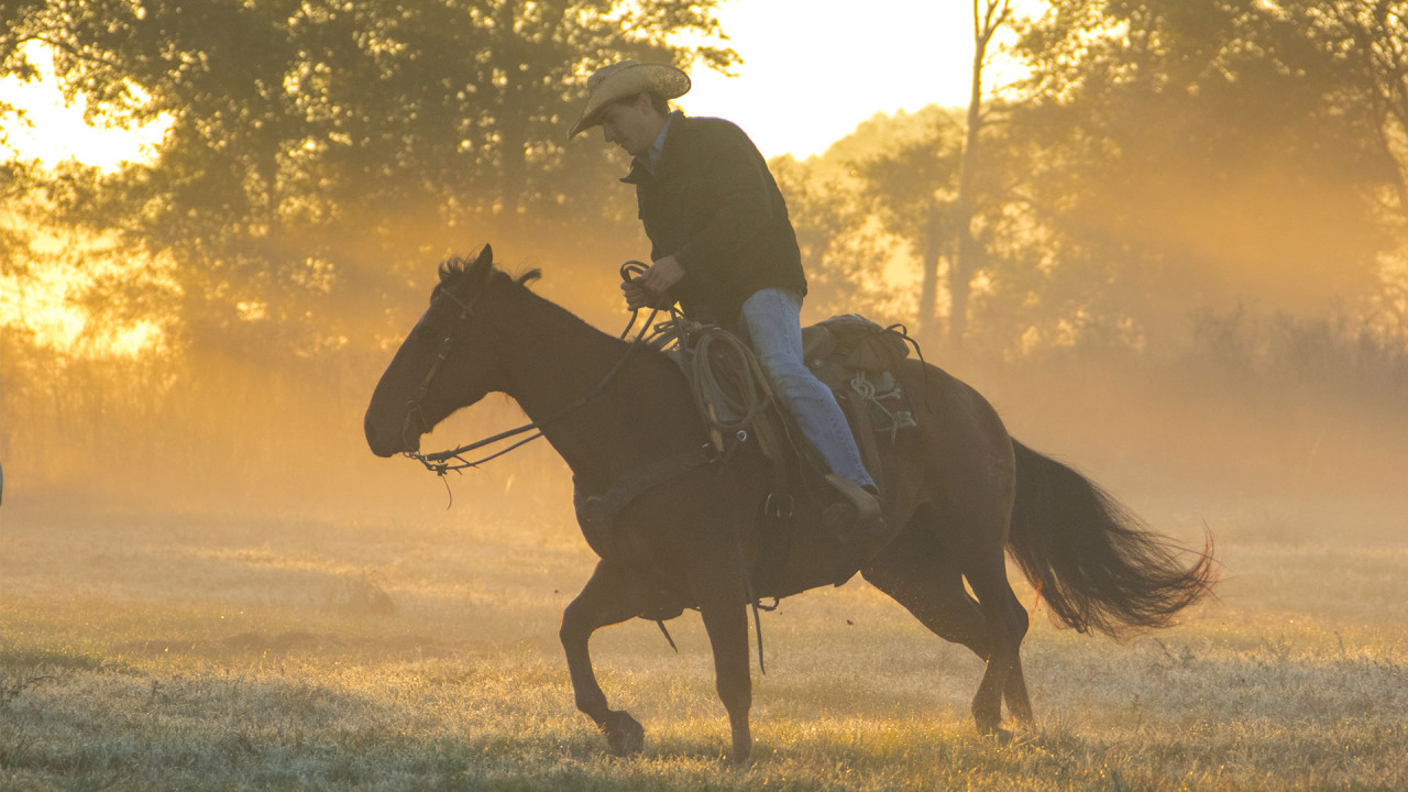 Watch The Cowboy Way Alabama Streaming Online Yidio