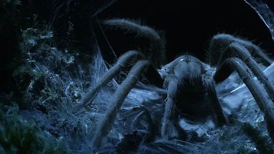 Deadly Australians Season 1 Episode 1