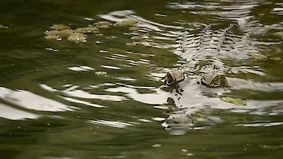 Deadly Australians Season 1 Episode 2