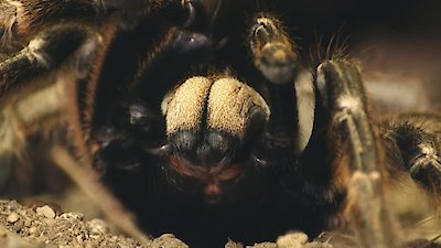 Deadly Hunters Season 1 Episode 3