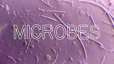 Frick, I Love Nature Season 1 Episode 4