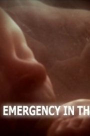 Emergency in the Womb