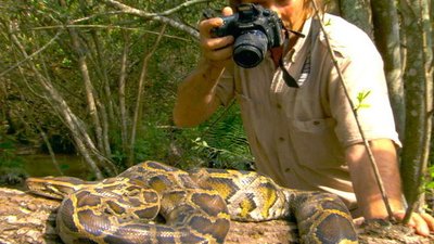 Austin Stevens Adventures Season 1 Episode 1
