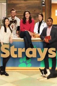 Strays