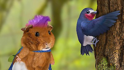 Wonder Pets: In the City Season 1 Episode 3