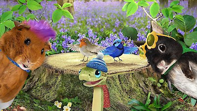 Wonder Pets: In the City Season 1 Episode 6