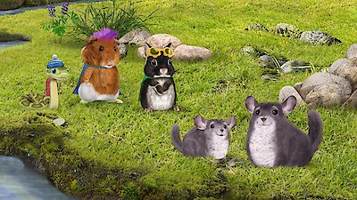 Wonder Pets: In the City Season 1 Episode 11