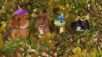 Wonder Pets: In the City Season 1 Episode 13