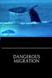 Dangerous Migration