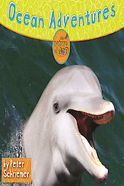 Nature of God Video Bible Study by Peter Schriemer