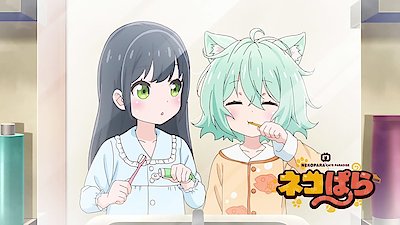 Nekopara (Original Japanese Version) Season 1 Episode 11