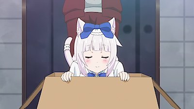 Nekopara (Original Japanese Version) Season 1 Episode 10