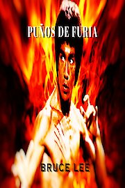 Pu&ntilde;os de Furia
