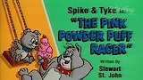 S.O.S. Ninja/The Pink Powder Puff Racer/Car Wash Droopy