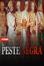 La Peste Negra: La Plaga Mas Devastadora Del Mundo