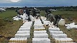Era of the Drug Lords