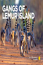 Gangs of Lemur Island