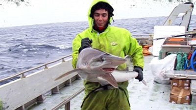 Million Dollar Catch Season 1 Episode 3