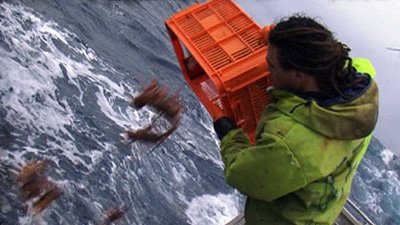 Million Dollar Catch Season 1 Episode 5