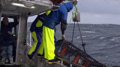 Million Dollar Catch Season 1 Episode 7