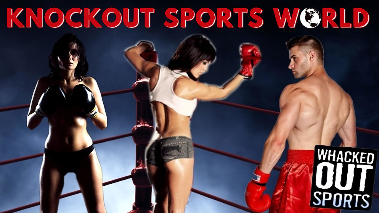 Knock Out Sports World